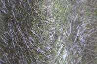 Glasnakille fibreglass roof work